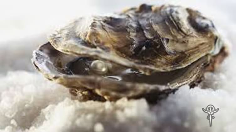 Oyster Extract - Interstellar Blends