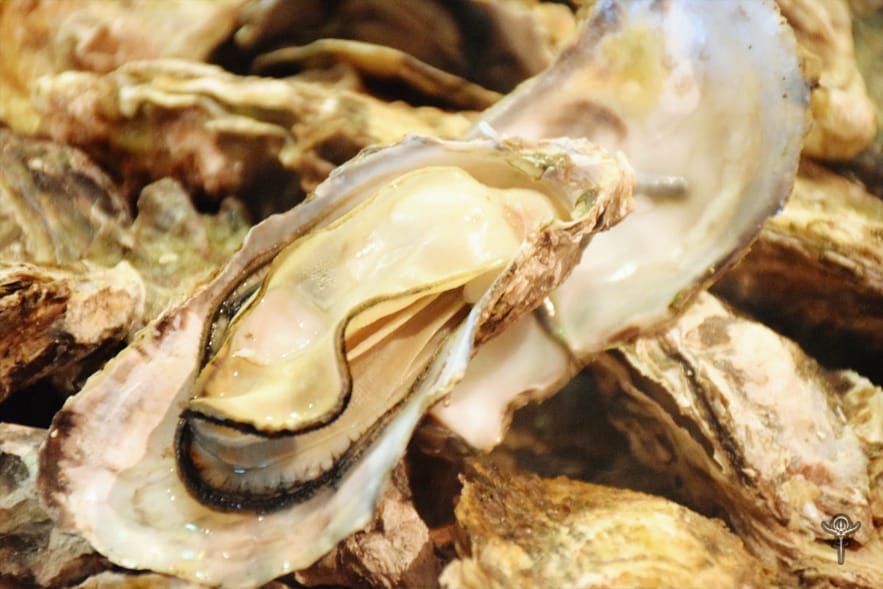 Oyster Extract - Interstellar Blends